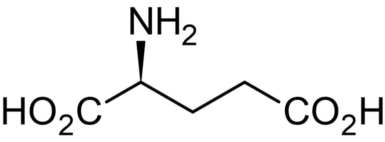 Chemical Structure - L-Glutamate, excitatory neurotransmitter (AB120049)