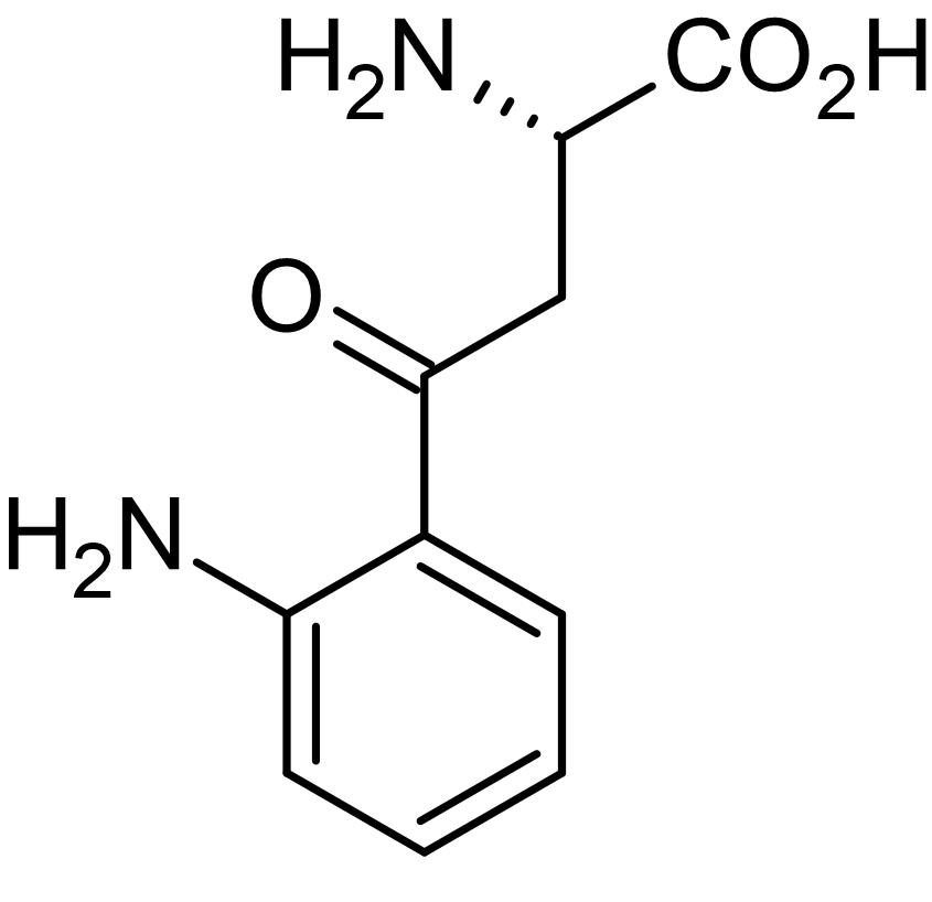 Chemical Structure - L-Kynurenine, Endogenous AhR agonist (AB146162)