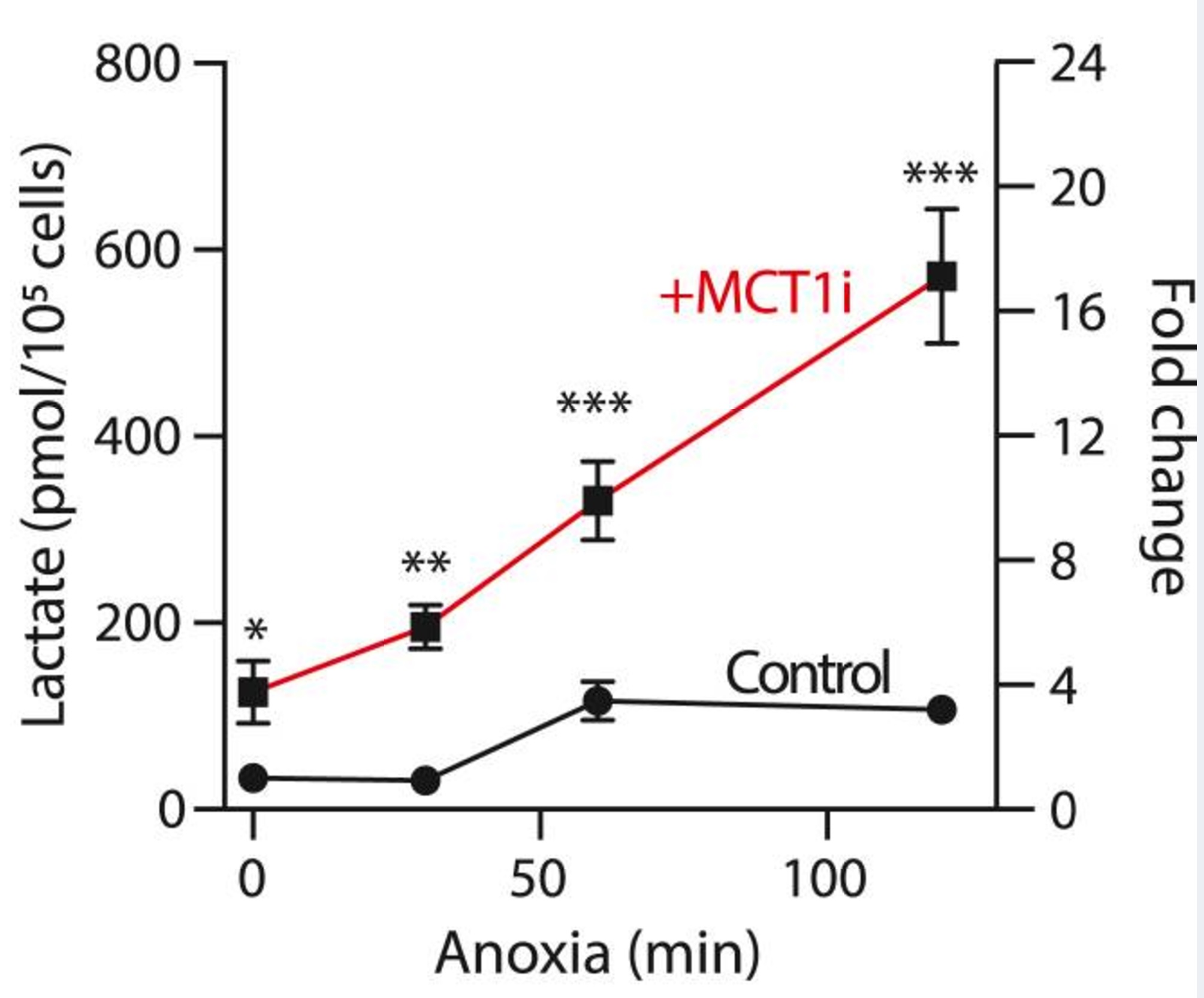 Biochemical assay - L-Lactate Assay Kit (Colorimetric) (ab65331), expandable thumbnail