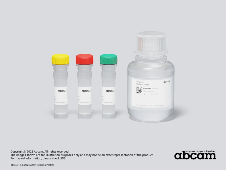 Other - L-Lactate Assay Kit (Colorimetric) (AB65331)