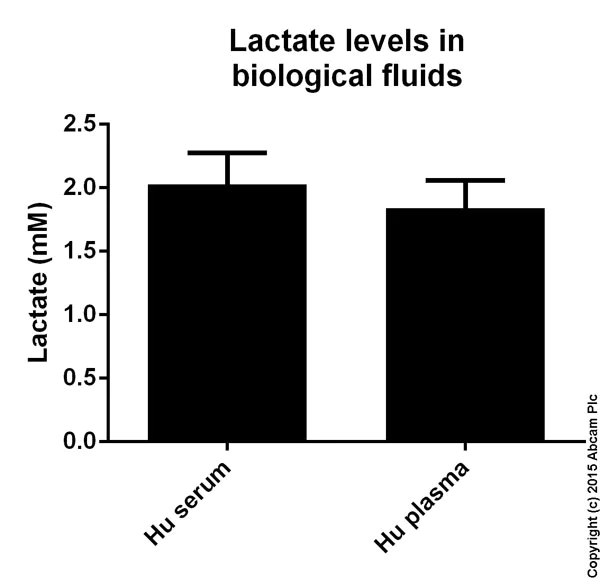 Functional Studies - L-Lactate Assay Kit (Colorimetric/Fluorometric) (AB65330)