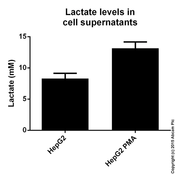Functional Studies - L-Lactate Assay Kit (Colorimetric/Fluorometric) (AB65330)
