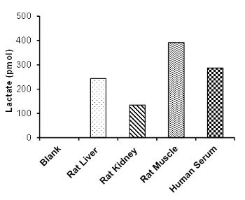 Functional Studies - L-Lactate Assay Kit (Fluorometric, High Sensitivity) (AB169557)