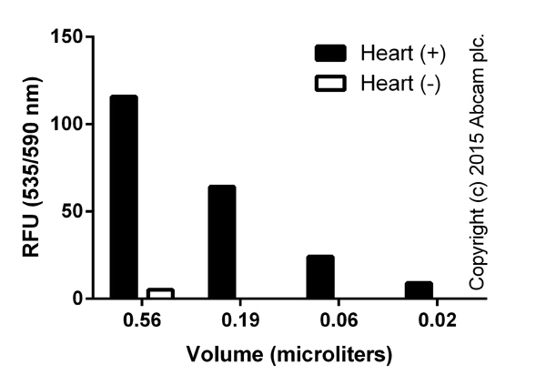Functional Studies - L-Lactate Assay Kit (Fluorometric, High Sensitivity) (AB169557)
