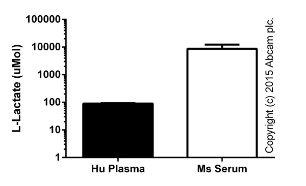 Functional Studies - L-Lactate Assay Kit (Fluorometric, High Sensitivity) (AB169557)