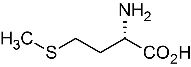 Chemical Structure - L-Methionine, Essential amino acid (AB146248)