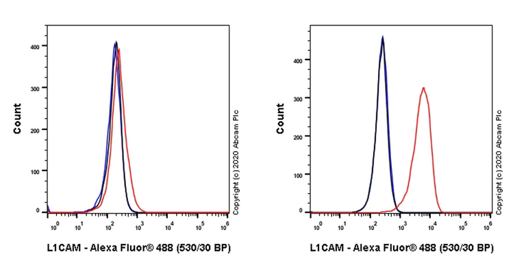 Flow Cytometry - Anti-L1CAM antibody [EPR23241-224] - BSA and Azide free (AB272321)