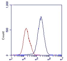 Anti-Lactate Dehydrogenase antibody [98A-1F9BB1] (ab135396