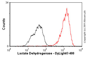 Flow Cytometry (Intracellular) - Anti-Lactate Dehydrogenase antibody [EP1566Y] (ab52488), expandable thumbnail