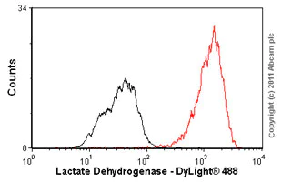 Flow Cytometry (Intracellular) - Anti-Lactate Dehydrogenase antibody [EP1566Y] (AB52488)