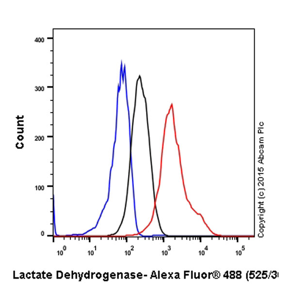 Flow Cytometry (Intracellular) - Anti-Lactate Dehydrogenase antibody [EP1566Y] (ab52488), expandable thumbnail