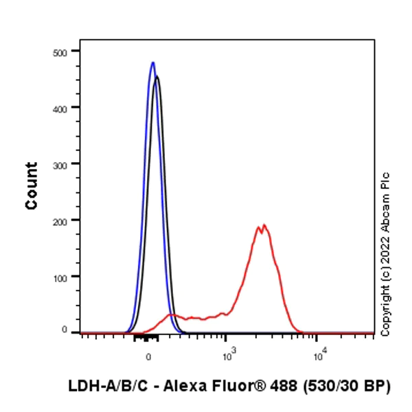 Flow Cytometry (Intracellular) - Anti-Lactate Dehydrogenase antibody [RM1039] (AB300637)