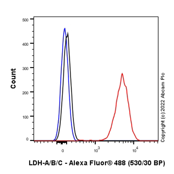 Flow Cytometry (Intracellular) - Anti-Lactate Dehydrogenase antibody [RM1039] (BSA and Azide free) (AB300638)
