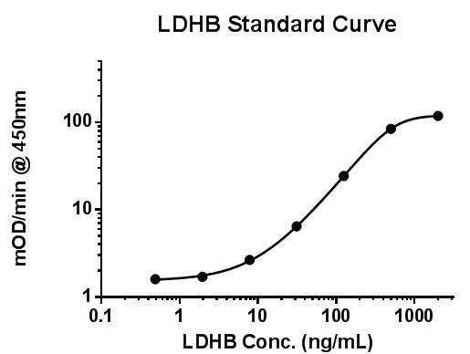 Functional Studies - Lactate Dehydrogenase B / LDH-B Activity Assay (AB140361), expandable thumbnail