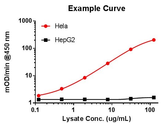 Functional Studies - Lactate Dehydrogenase B / LDH-B Activity Assay (AB140361), expandable thumbnail