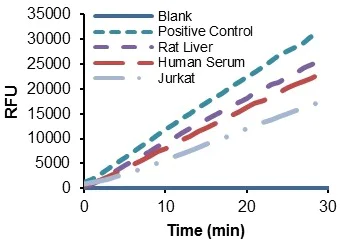 Functional Studies - Lactate Dehydrogenase (LDH) Assay Kit (Fluorometric) (AB197000)