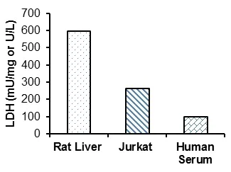 Functional Studies - Lactate Dehydrogenase (LDH) Assay Kit (Fluorometric) (AB197000)