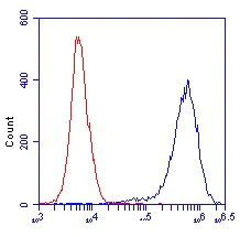 Flow Cytometry - Anti-Lactate Dehydrogenase LDHA + LDHB antibody [10E6AA9] (AB112996)