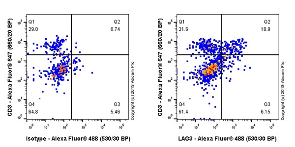 Flow Cytometry (Intracellular) - Anti-LAG-3 antibody [CAL25] (AB237718), expandable thumbnail