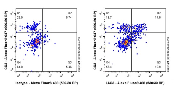 Flow Cytometry (Intracellular) - Anti-LAG-3 antibody [CAL26] - BSA and Azide free (AB251605), expandable thumbnail