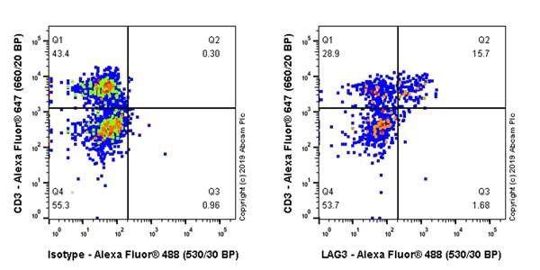 Flow Cytometry (Intracellular) - Anti-LAG-3 antibody [CAL77] - BSA and Azide free (AB251606)