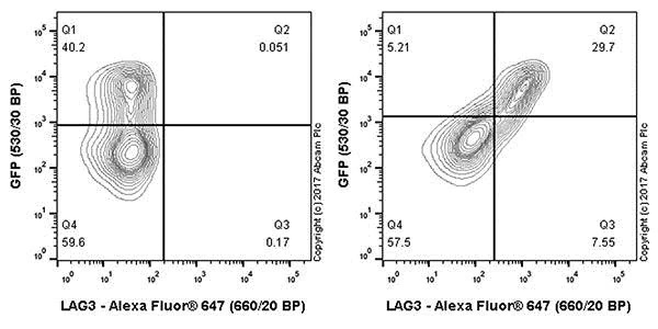 Flow Cytometry - Anti-LAG-3 antibody [EPR20261] - Low endotoxin, Azide free (AB282638), expandable thumbnail