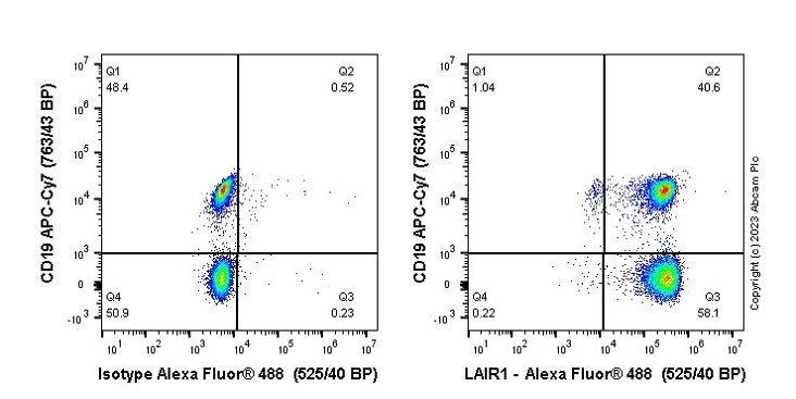 Flow Cytometry - Anti-LAIR1 antibody [EPR24745-12A] (AB315967), expandable thumbnail