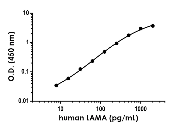Sandwich ELISA - Anti-LAMA1 antibody [EPR24650-123] - BSA and Azide free (Capture) (AB289814)