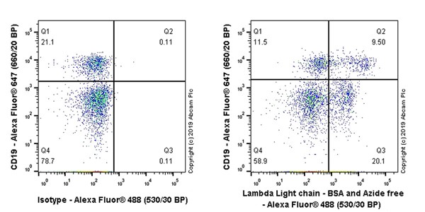 Flow Cytometry - Anti-Lambda Light chain antibody [1-155-2] (AB235129)
