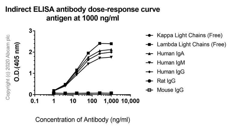 ELISA - Anti-Lambda Light chain antibody [EPR5367-62] - BSA and Azide free (AB185131)