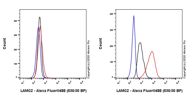 Flow Cytometry (Intracellular) - Anti-LAMC2 antibody [EPR23654-127] - BSA and Azide free (AB274384)