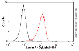 Flow Cytometry - Anti-Lamin A antibody [133A2] (AB8980), expandable thumbnail
