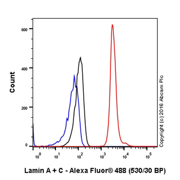 Flow Cytometry (Intracellular) - Anti-Lamin A + Lamin B1 + Lamin C antibody [EPR4068] (ab108922), expandable thumbnail