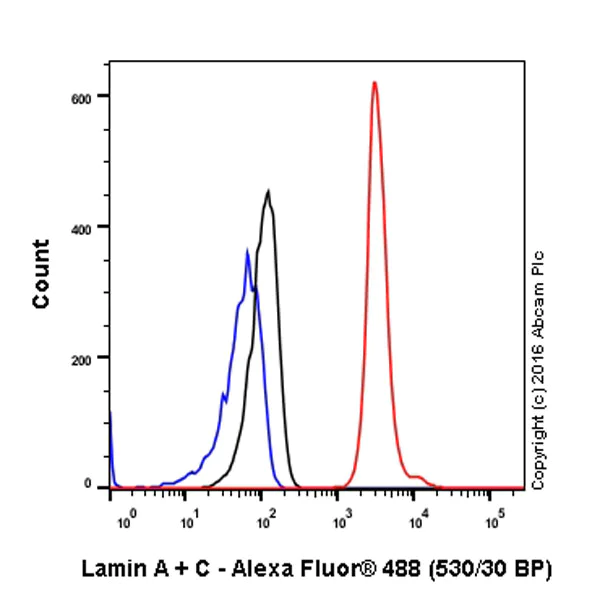 Flow Cytometry (Intracellular) - Anti-Lamin A + Lamin B1 + Lamin C antibody [EPR4068] - Nuclear Envelope Marker (AB108922)
