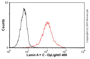 Flow Cytometry - Anti-Lamin A + Lamin C antibody [131C3] - Nuclear Envelope Marker (AB8984)