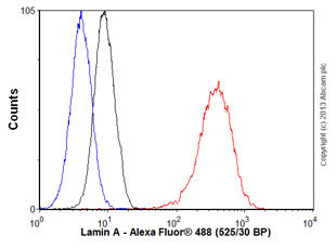 Flow Cytometry (Intracellular) - Anti-Lamin A + Lamin C antibody [EPR4100] - BSA and Azide free (ab216074), expandable thumbnail