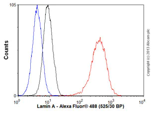 Flow Cytometry (Intracellular) - Anti-Lamin A + Lamin C antibody [EPR4100] - Nuclear Envelope Marker (AB108595)