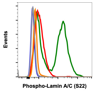 Flow Cytometry - Anti-Lamin A + Lamin C (phospho S22) antibody [LaminACS22-CF12] (AB278643), expandable thumbnail