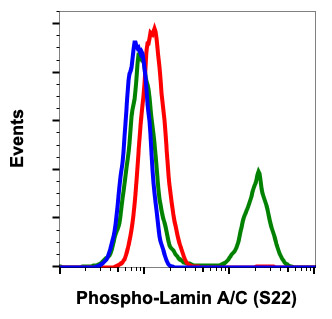 Flow Cytometry - Anti-Lamin A + Lamin C (phospho S22) antibody [LaminACS22-CF12] (AB278643), expandable thumbnail