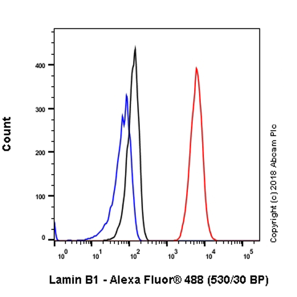 Flow Cytometry (Intracellular) - Anti-Lamin B1 antibody [EPR22165-121] - Nuclear Envelope Marker (ab229025), expandable thumbnail
