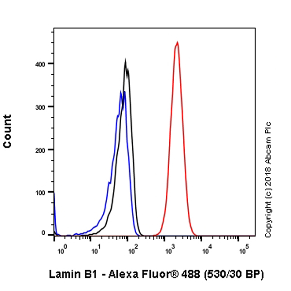 Flow Cytometry (Intracellular) - Anti-Lamin B1 antibody [EPR22165-121] - Nuclear Envelope Marker (ab229025), expandable thumbnail