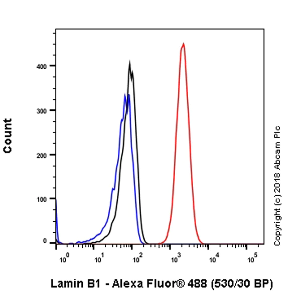 Flow Cytometry (Intracellular) - Anti-Lamin B1 antibody [EPR22165-121] - Nuclear Envelope Marker (AB229025)