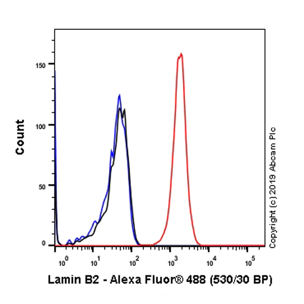 Flow Cytometry (Intracellular) - Anti-Lamin B2 antibody [EPR9701(B)] - BSA and Azide free (AB240124)