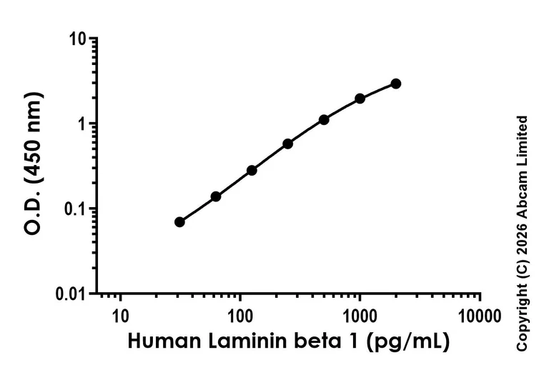 Sandwich ELISA - Anti-Laminin beta 1 antibody [EPR29489-548] - BSA and Azide free (Detector) (AB325916)