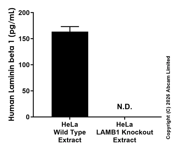 Sandwich ELISA - Anti-Laminin beta 1 antibody [EPR29489-548] - BSA and Azide free (Detector) (AB325916)