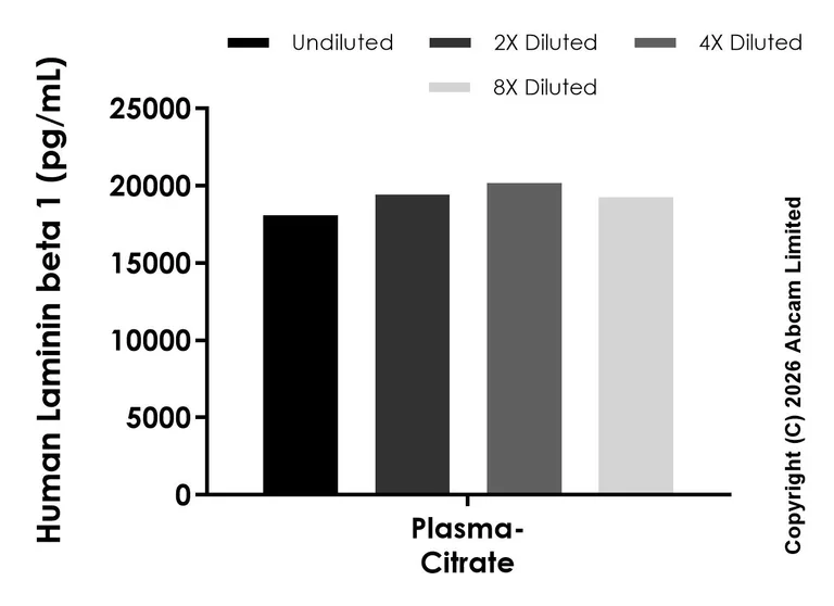 Sandwich ELISA - Anti-Laminin beta 1 antibody [EPR29489-548] - BSA and Azide free (Detector) (AB325916)