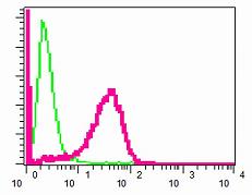Flow Cytometry (Intracellular) - Anti-Laminin beta 1 antibody [EPR3190(2)] (AB109293)