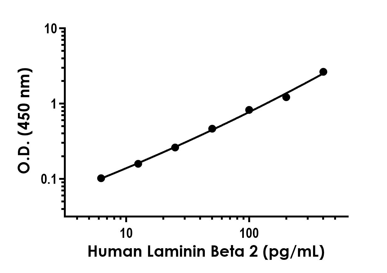 Sandwich ELISA - Anti-Laminin beta 2 antibody [EPR23569-8] - BSA and Azide free (Capture) (AB281224), expandable thumbnail