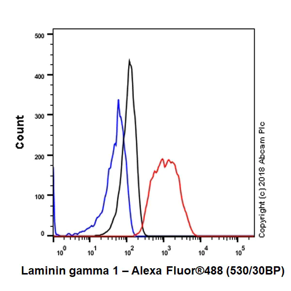 Flow Cytometry (Intracellular) - Anti-Laminin gamma 1 antibody [EPR21199] - BSA and Azide free (AB234963)