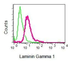 Flow Cytometry (Intracellular) - Anti-Laminin gamma 1 antibody [EPR8217] - BSA and Azide free (AB248663)